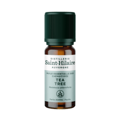 Huile essentielle de Tea tree : propriétés et utilisations - Aroma-Zone