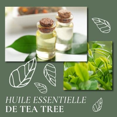 Huiles essentielles tea tree 100% naturelles