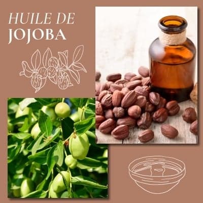Huile de jojoba : hydratante et régulatrice
